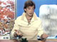 Доброе утро. октябрь 2006 года